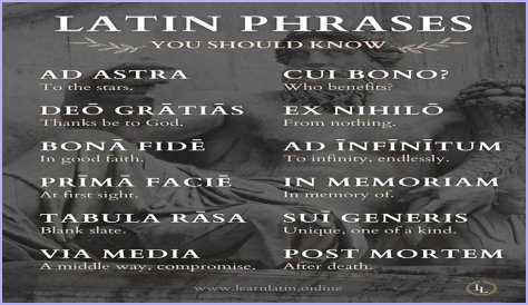 A Profile Of A Latin Beauty