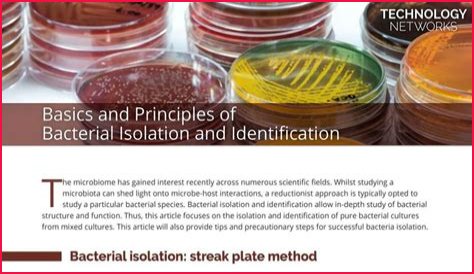 What is bacterial isolation