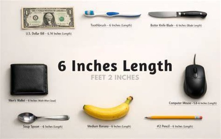6.33 inches in cm