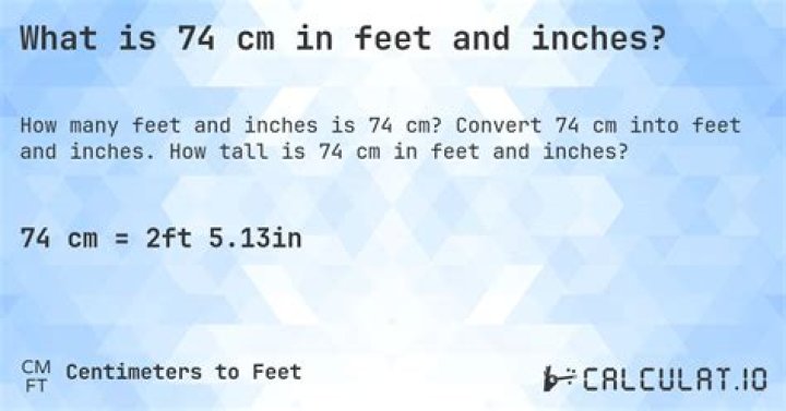 74 cm to feet 74 cm in feet
