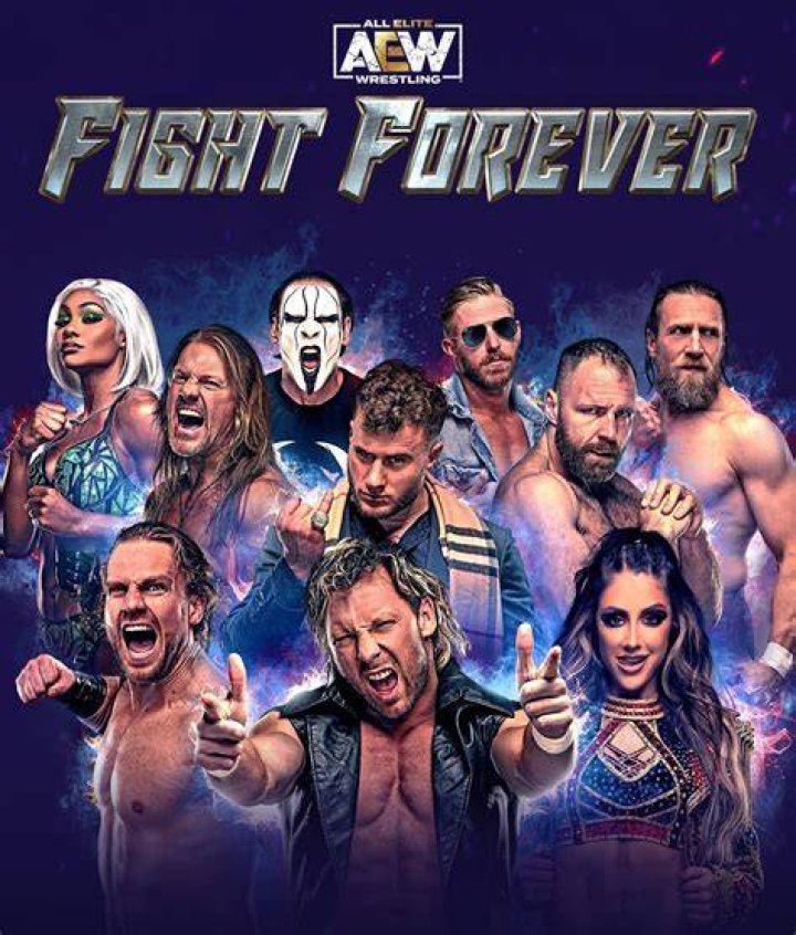 AEW Fight Forever Beat The Elite