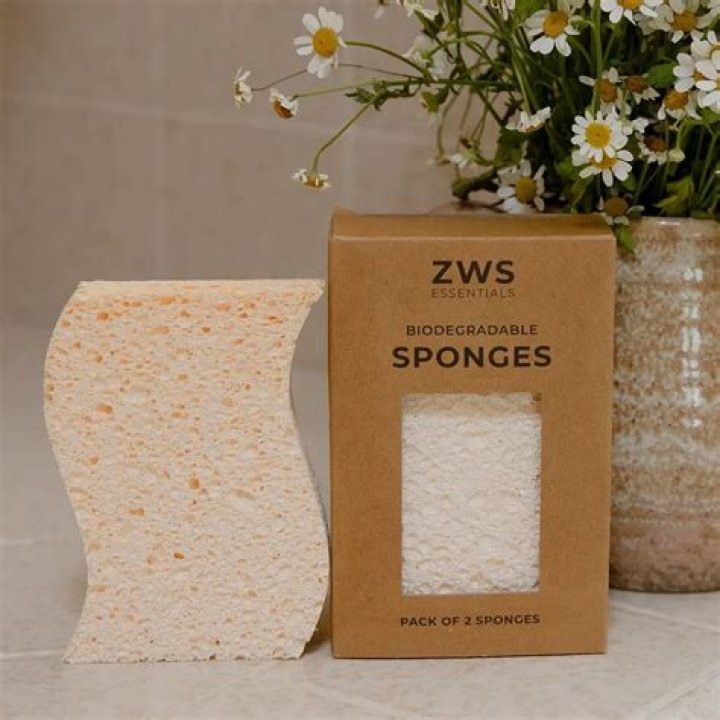 Are sponges eco friendly