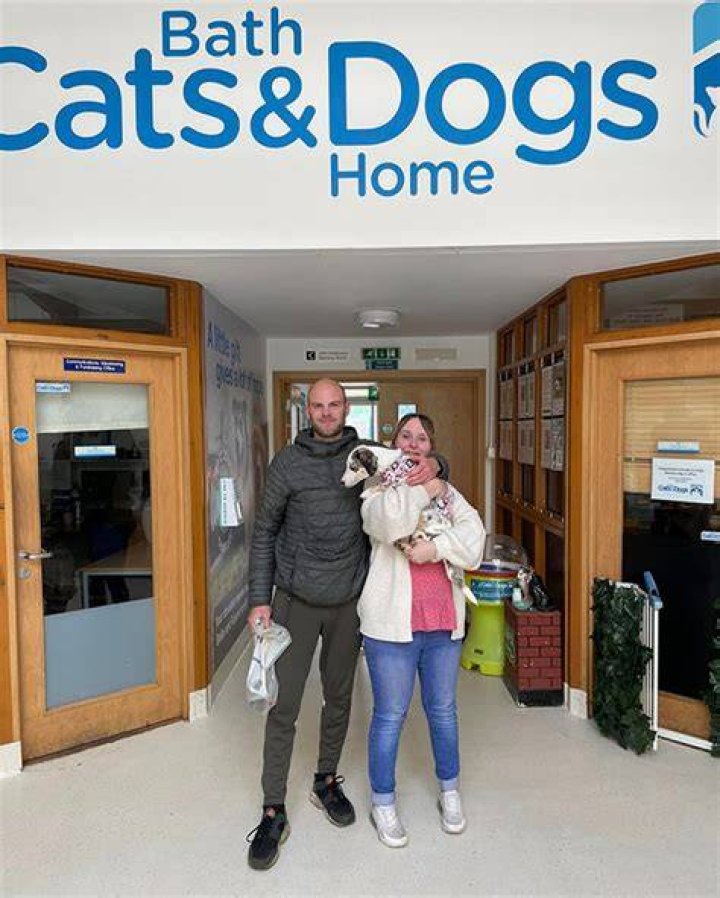 Bath Cats & Dogs Home Open Day