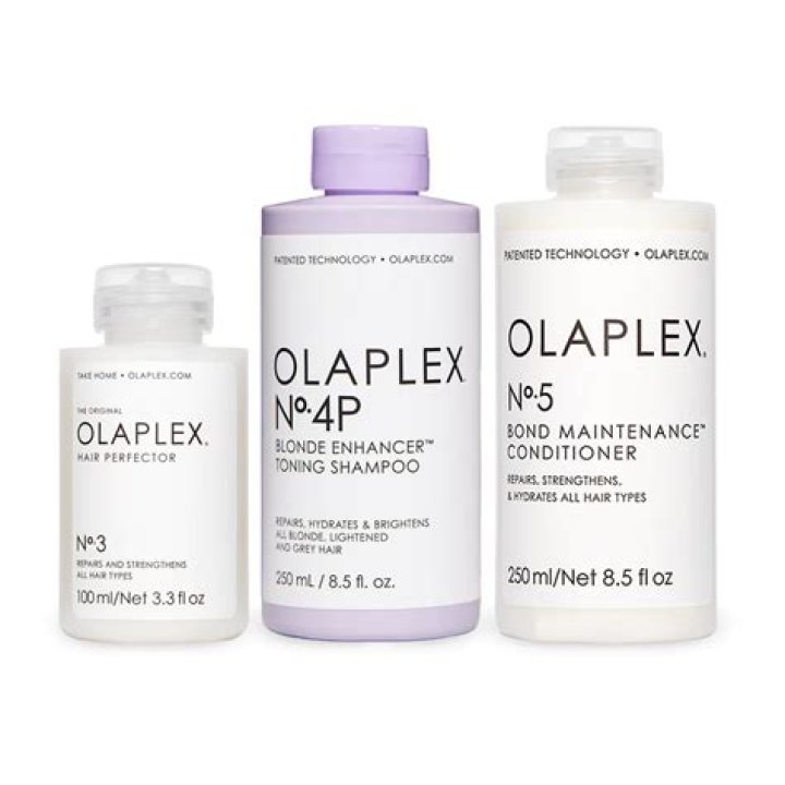 Blonde Maintenance System Blonde Maintenance System