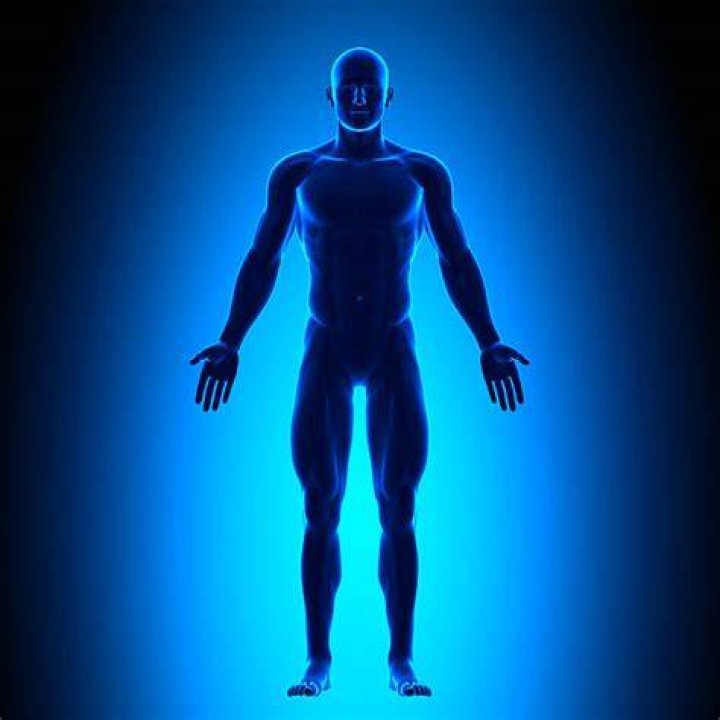 Blue, Human body, Human leg, Elbow, Majorelle blue, Chest, Knee, Muscle, Barechested, Electric blue, 