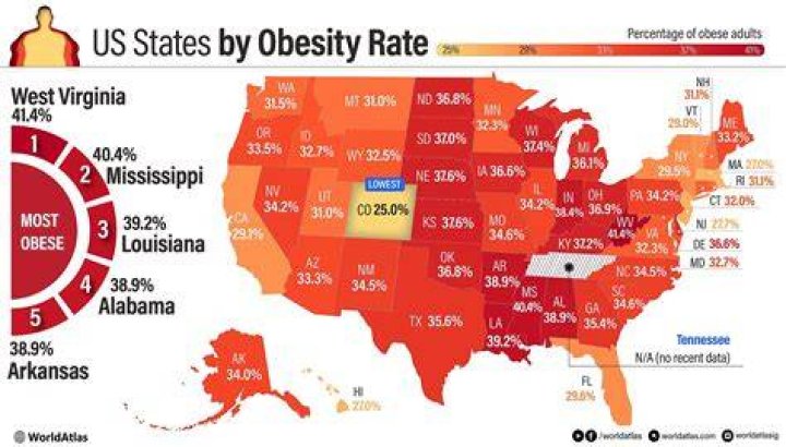 CDC obesity data reveals wide gap between white and black Americans