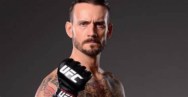 CM Punk UFC 203 #1