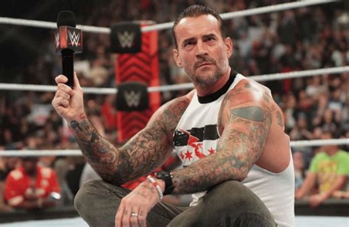 CM Punk WWE