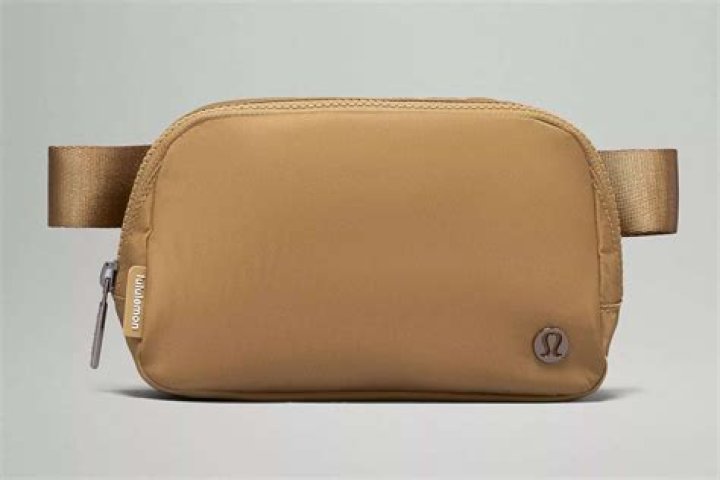 Everywhere Belt Bag