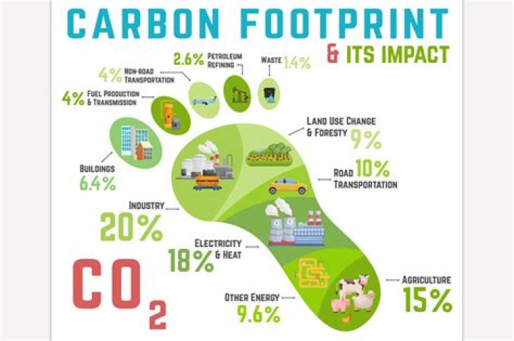 How big is your carbon footprint? | Carbon footprints
