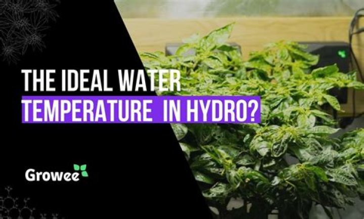 How does water temperature affect plant growth