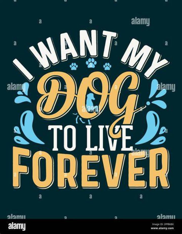 I Want a Dog for Christmas, Charlie Brown!