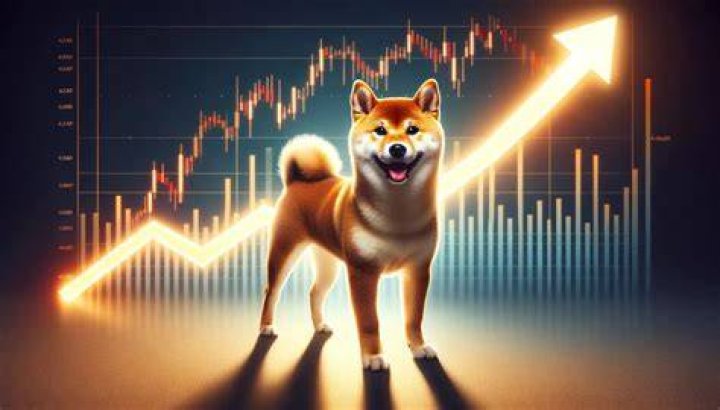 Image of Shiba Inu (SHIB) logo next to the Kraken logo against a blurred ocean background with a sunset.