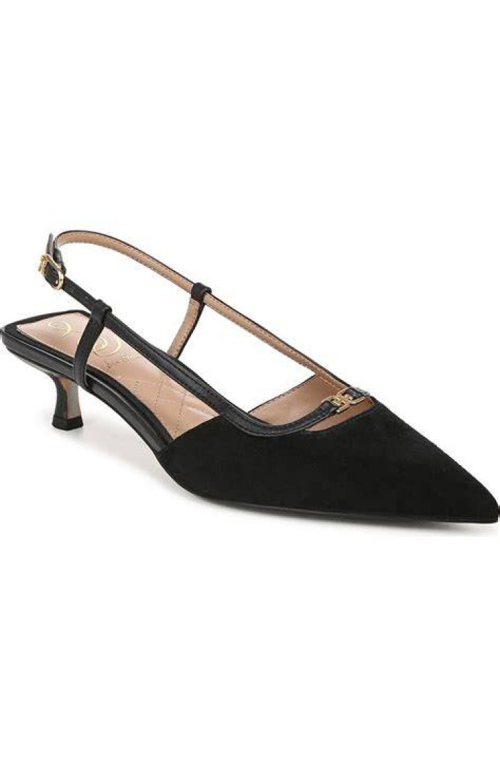 Lee Pointed Toe Slingback Pump Lee Pointed Toe Slingback Pump