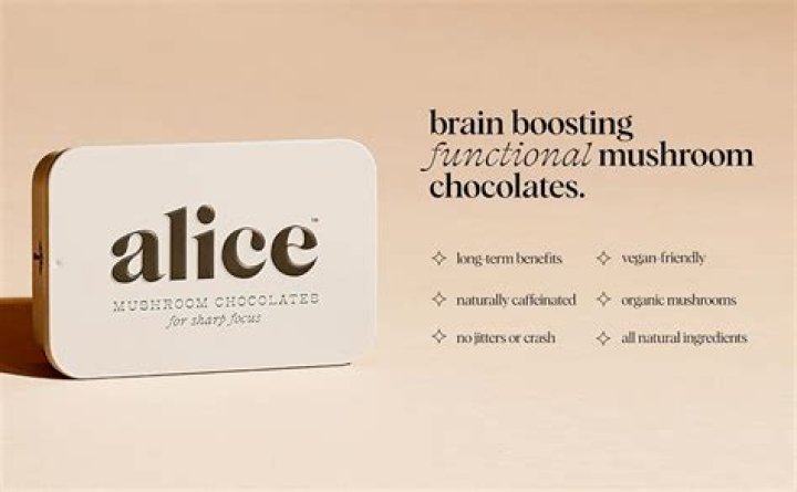 Nightcap + Brainstorm Duo Functional Mushroom Chocolates