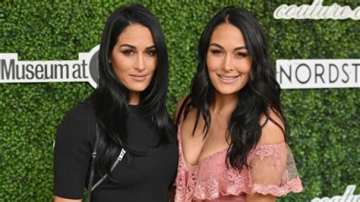 Nikki Bella Brie Bella Twins