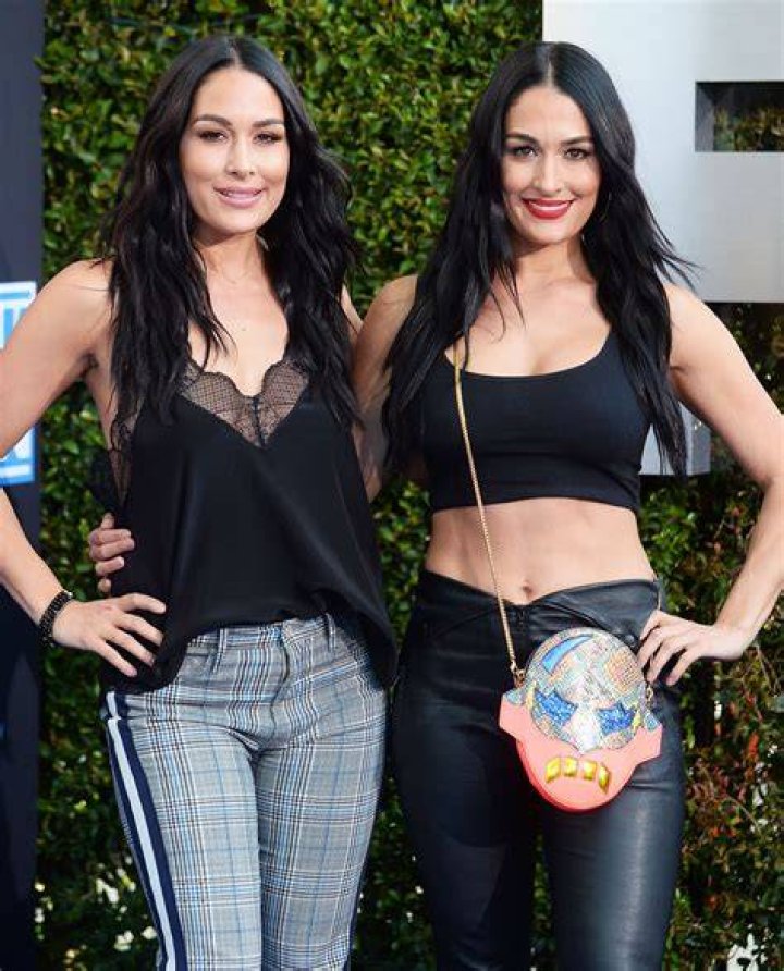 nikki bella brie bella