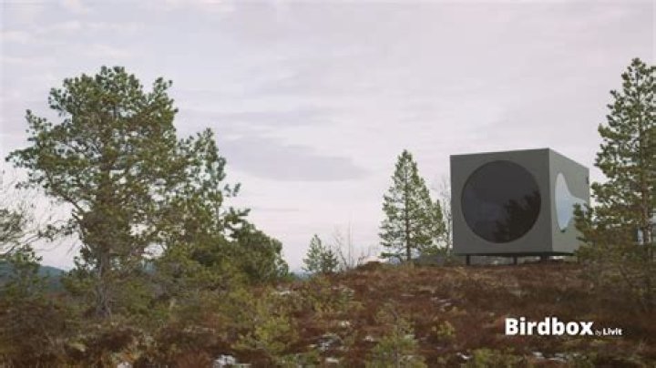 Video player poster image preview for Dynamic ELLE ES Living