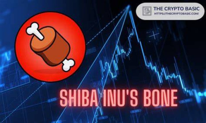 Shiba Inu Coin, BONE and LEASH tokens, with a black circle and a question mark in the centre, on a grey background.