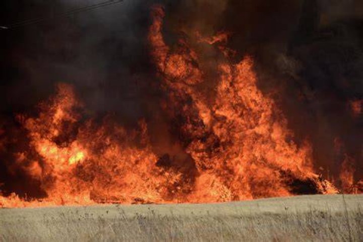 The Rhea fire burns through a grove of red cedar trees near Seiling, Oklahoma, U.S. April 17, 2018. REUTERS/Nick Oxford.