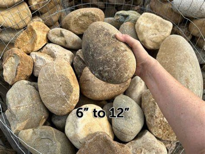 The Rock #12