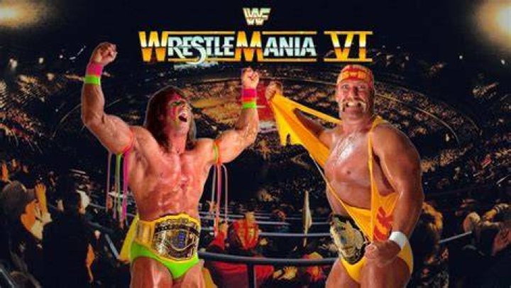 Ultimate Warrior vs Hulk Hogan