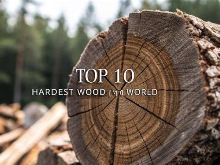 Which wood is the hardest