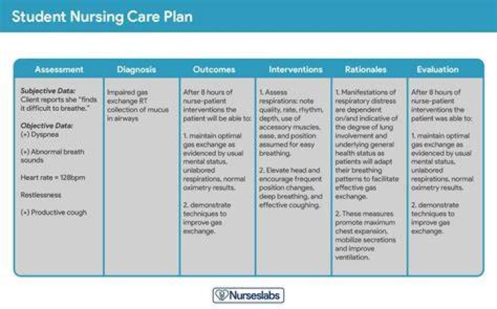 Why Are care plans important in nursing